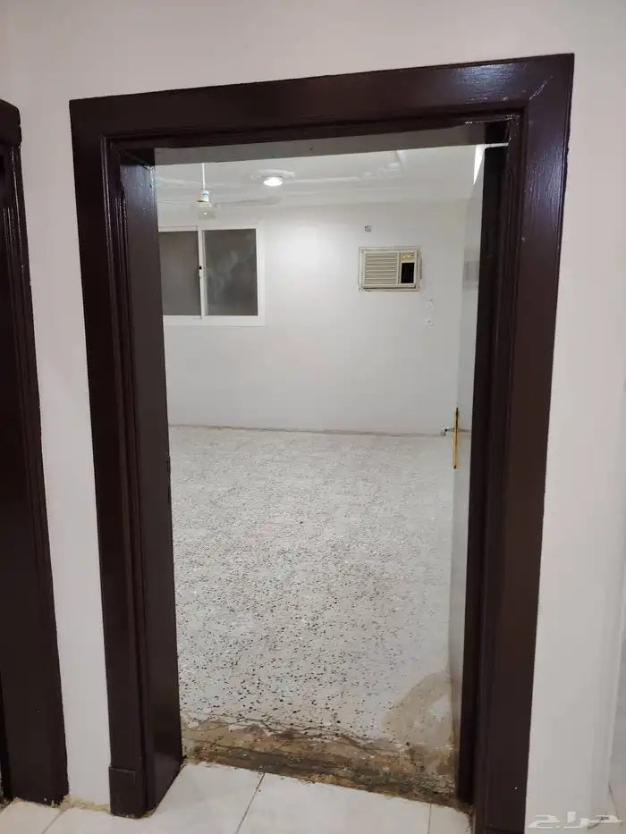 دور علوي 13