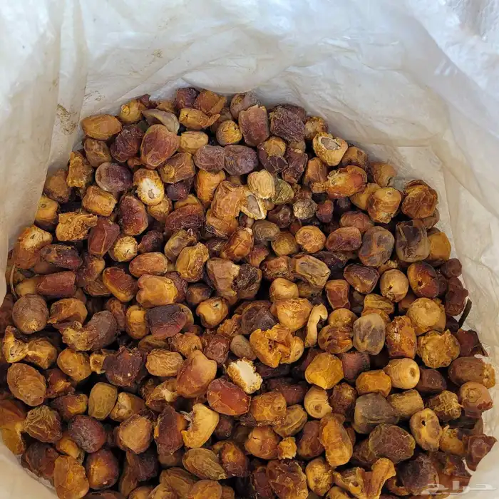 علف تمر 250 كيس تم البيع 1