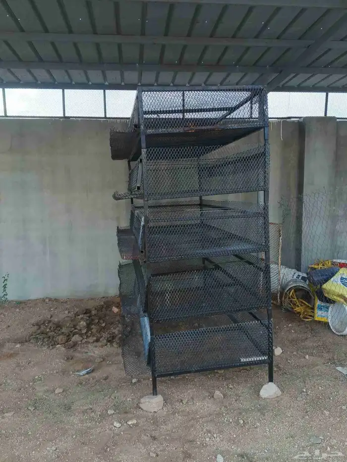 بطاريه سمان بياض او صوص 4