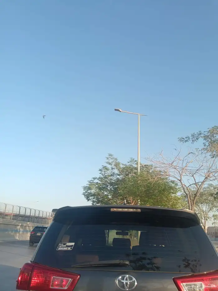 الياسمين المكان طريق الملك سلمان 2