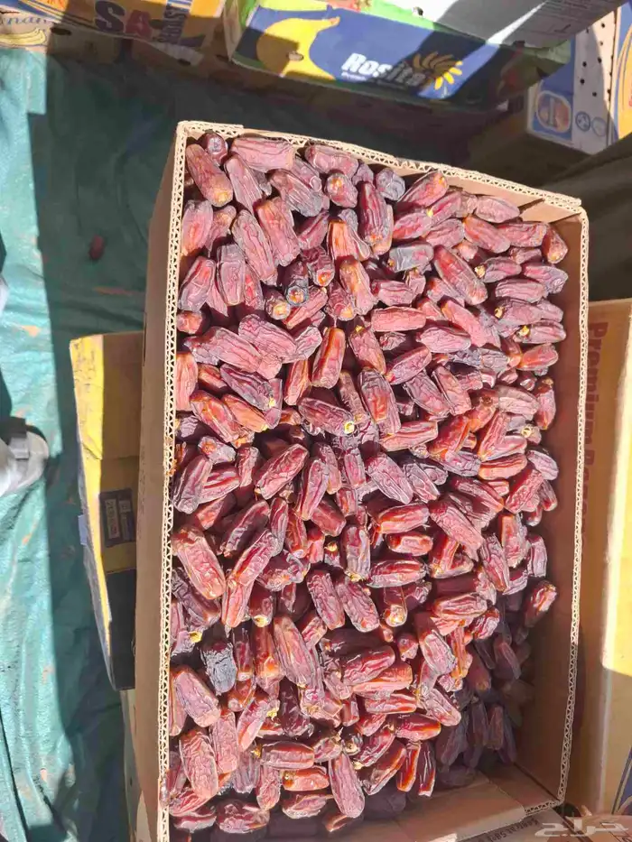 العلا مركز الحجر 0