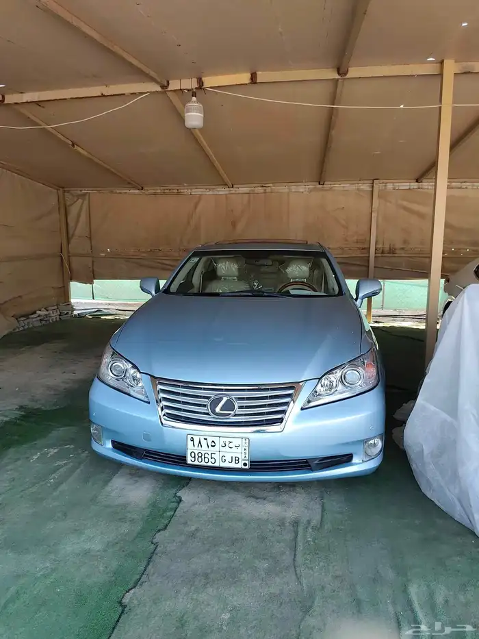 القطيف 6
