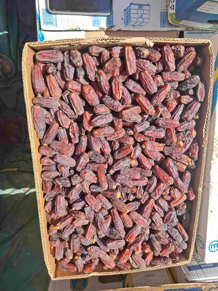 العلا مركز الحجر 1