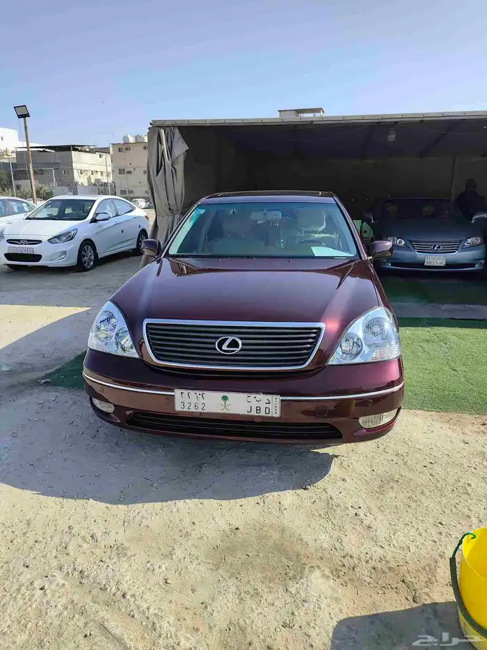 القطيف 6