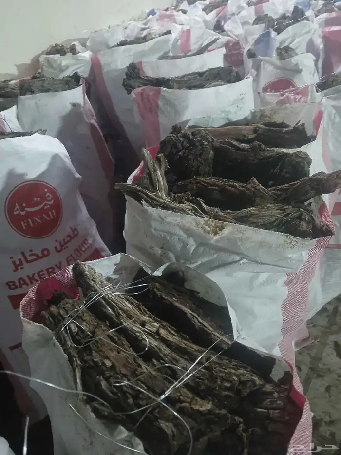 يابس شرط ا ر ط ى ومرصوص 0