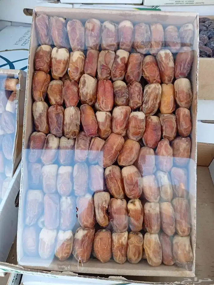 صقعي وام خشب 0