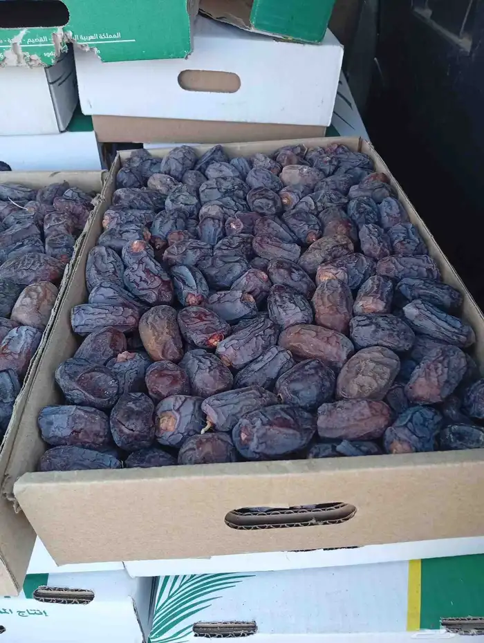 صقعي وام خشب 1