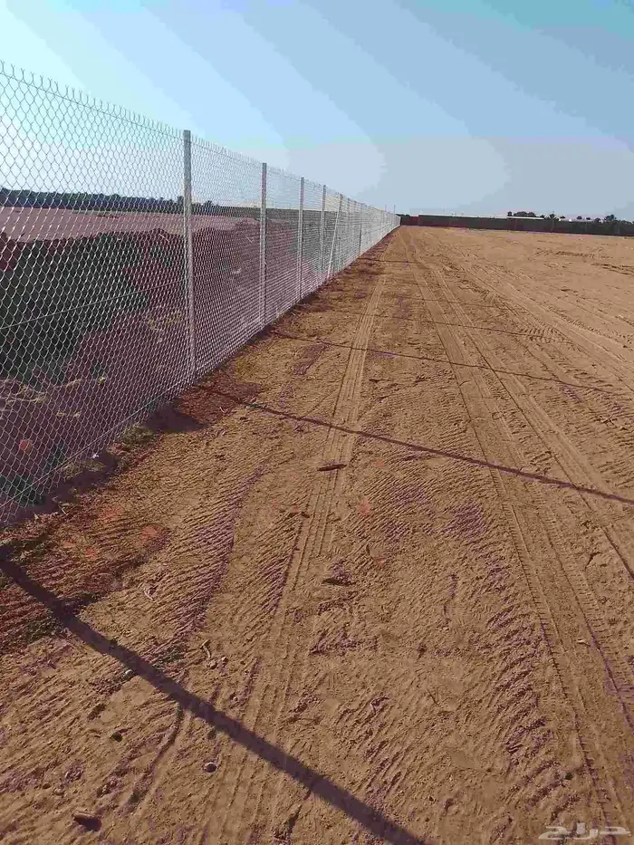 شبوك جميع مواصفات 1