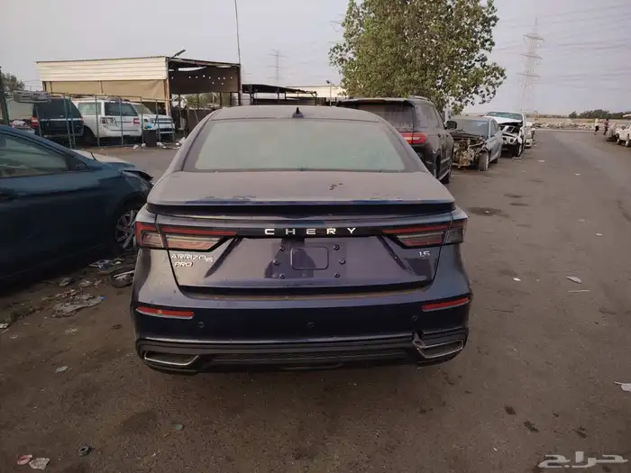 شيري اريزو 6 1