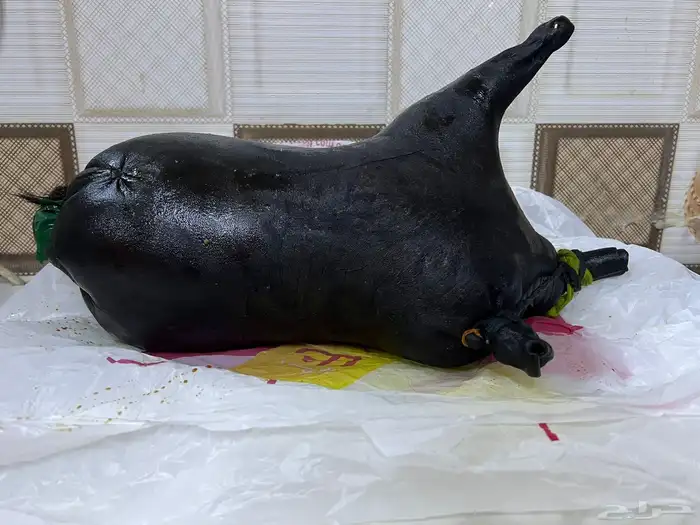 للبيع عكة سمن 3