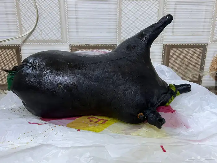 للبيع عكة سمن 1