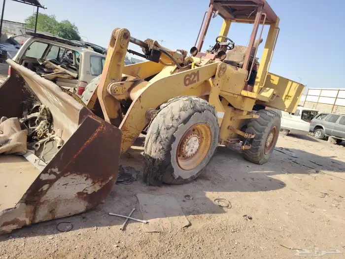 شيول مبيعات حكومية 4