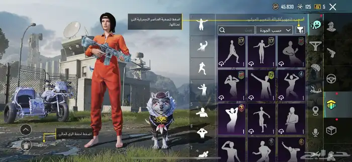 حساب ببجي 60