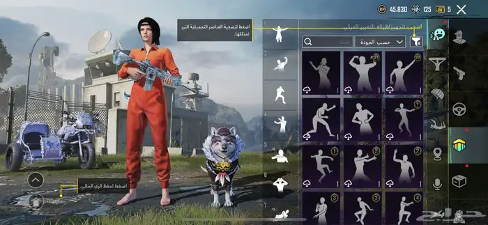 حساب ببجي 62