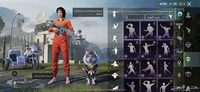 حساب ببجي 61