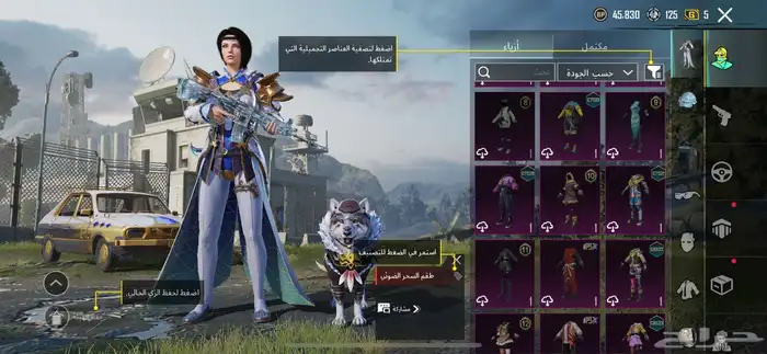 حساب ببجي 12