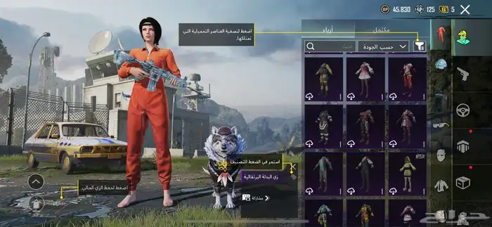 حساب ببجي 17