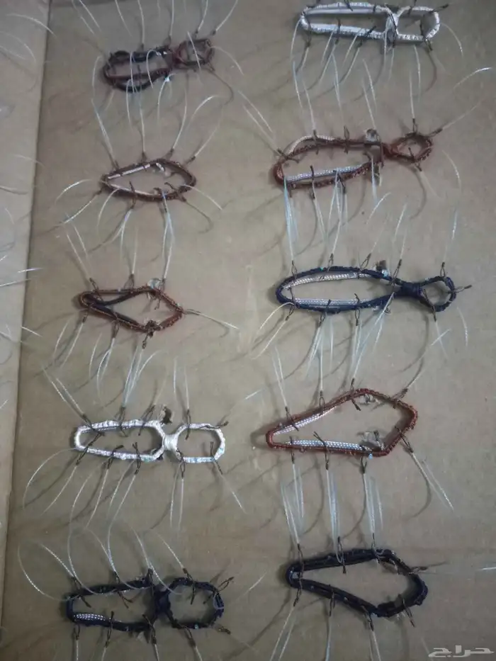 شبك لصيد الصقور 1