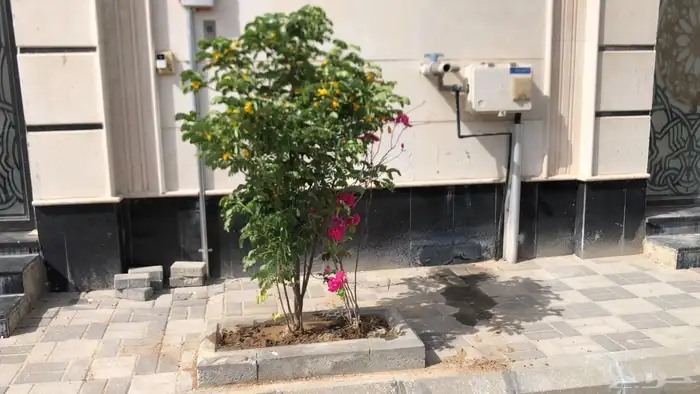 تنسيق الحدائق المنزلية 29