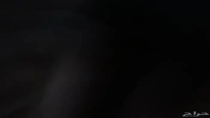 طير كروان مفقود 0