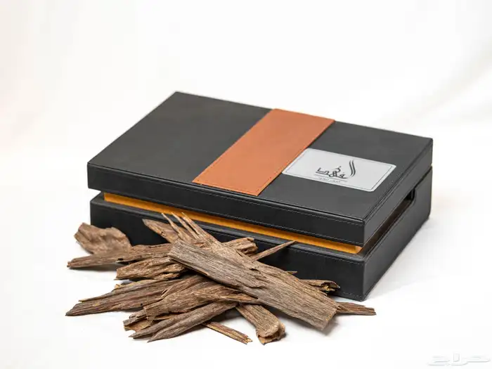 سعودية محترفة بالتصوير 6