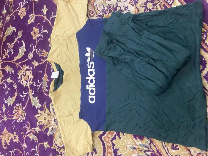 الاحساء 19