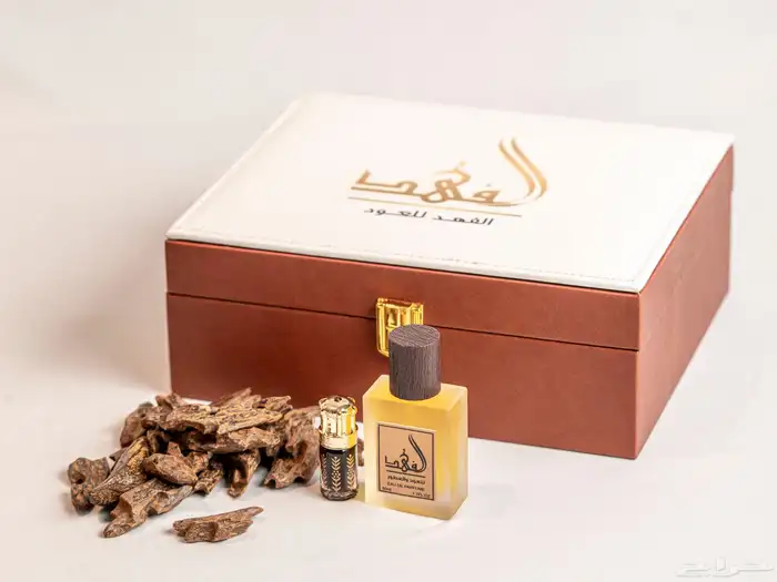 سعودية محترفة بالتصوير 0