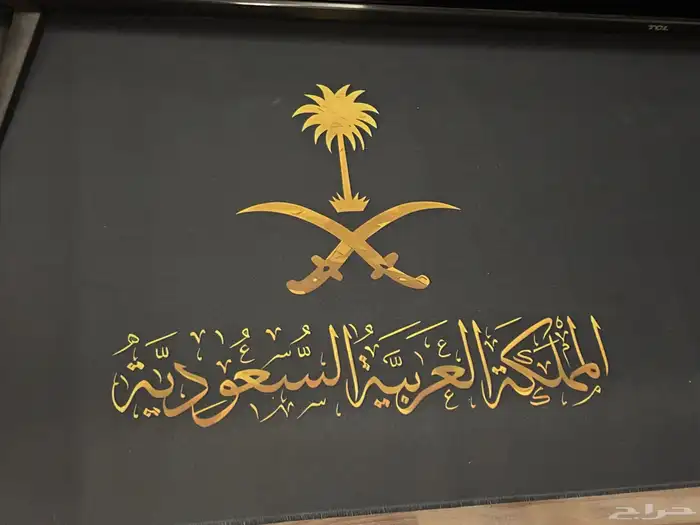 للبيع شاشة قيمنق وكرسي 6