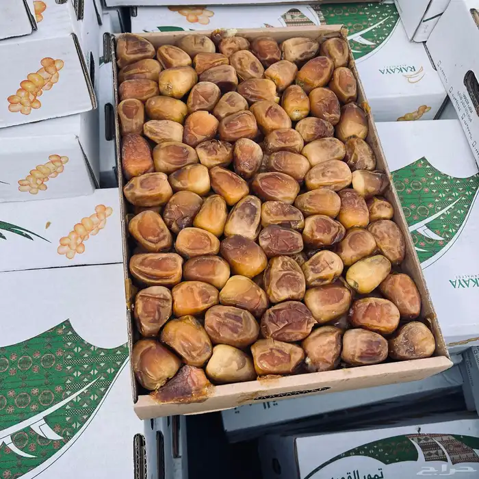 رطب سكري كميات كبيره 0