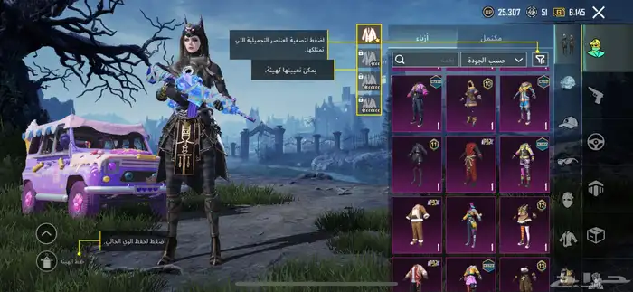 حساب ببجي 17