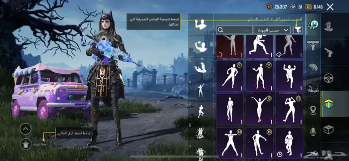 حساب ببجي 8