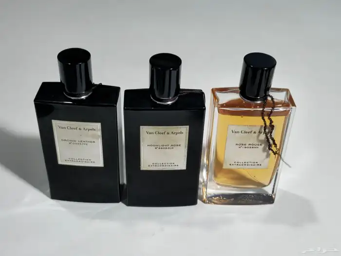 تستر عطور اصلي مخفض 34