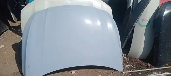 كبوت نيسان التيماء 2019الا -2025 0