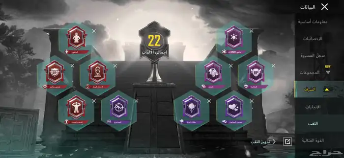 حساب ببجي للبيع 3