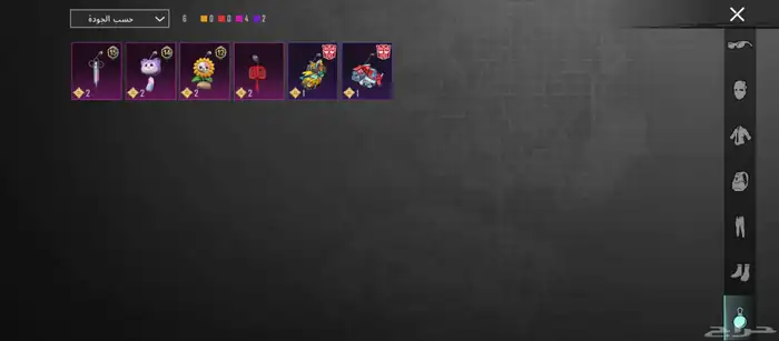 حساب ببجي للبيع 17