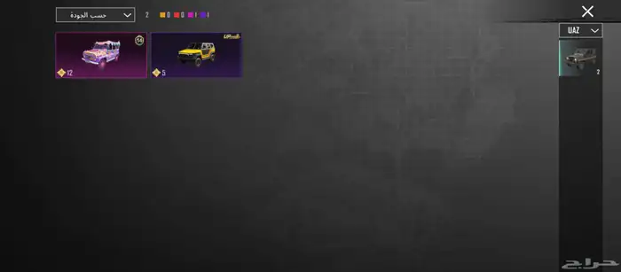 حساب ببجي للبيع 22