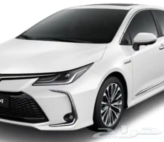 جنوط كورلا 2025_2026 12