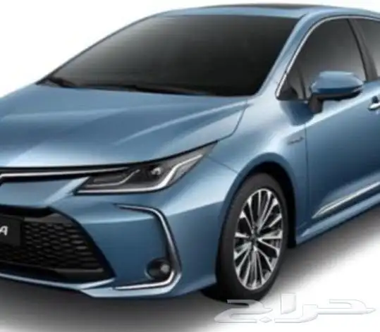 جنوط كورلا 2025_2026 11