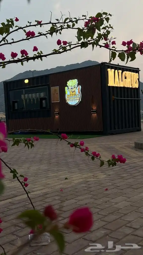 فود ترك للإجار وجلسات حديقة 0