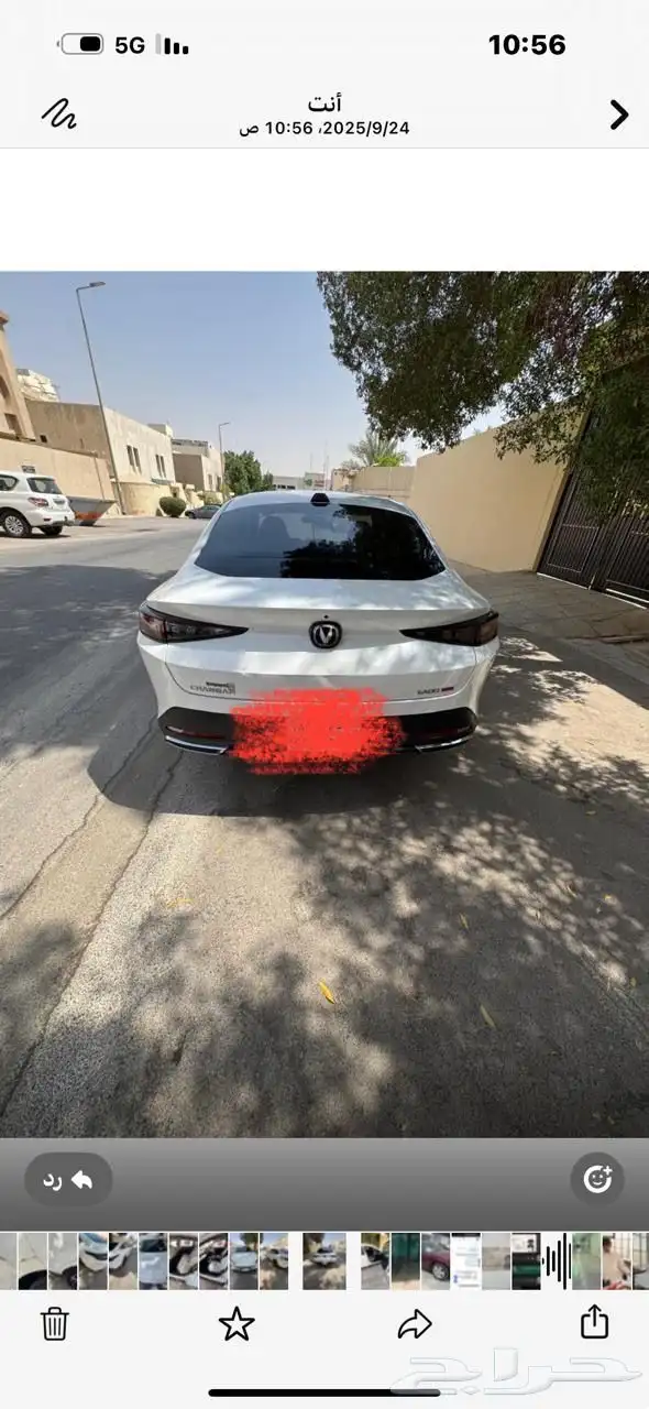ايدو بلس 2024 ى 13