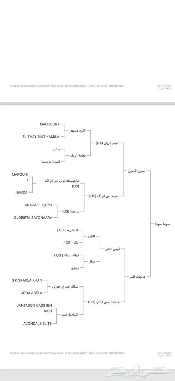 حصان واهو 2