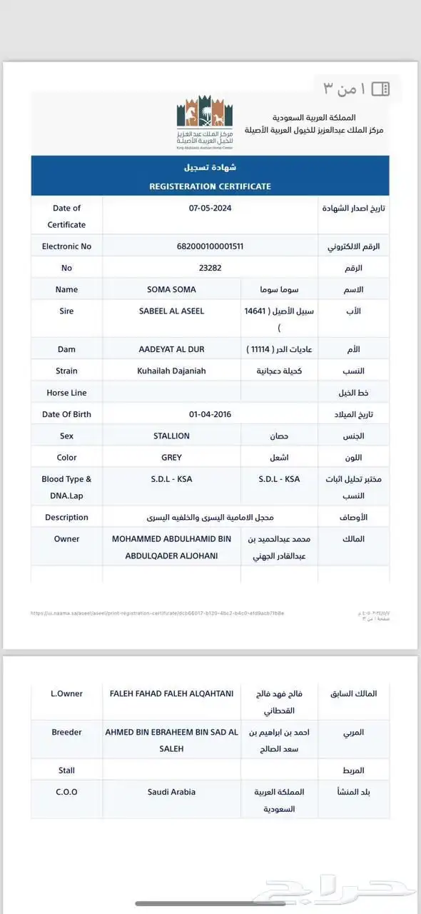 حصان واهو 3