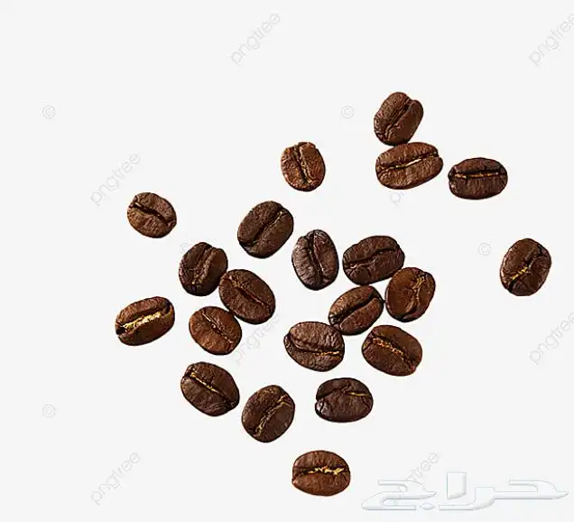 قهوة مختصة 3