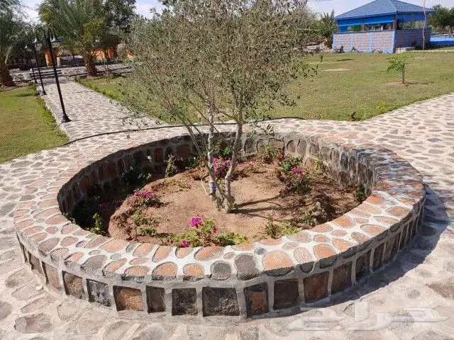 معلم حجر رباريب ممرات قوايم تلابيس جدران 8