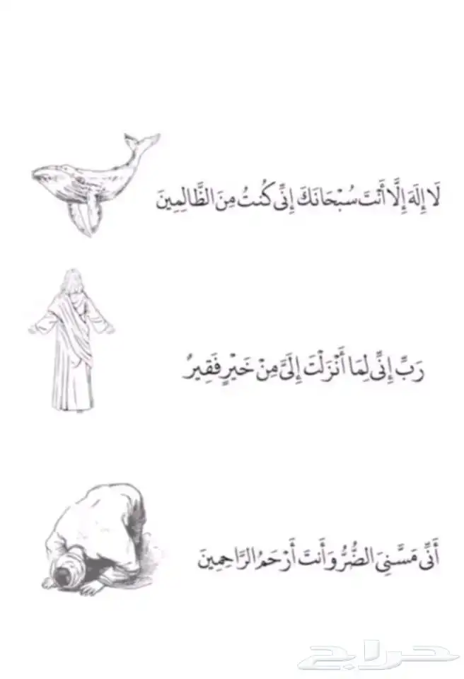 فوردتورس تيتانيوم 2026 10