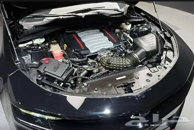 كمارو SS موديل 2021 الميموني للاستيراد بكوريا 4