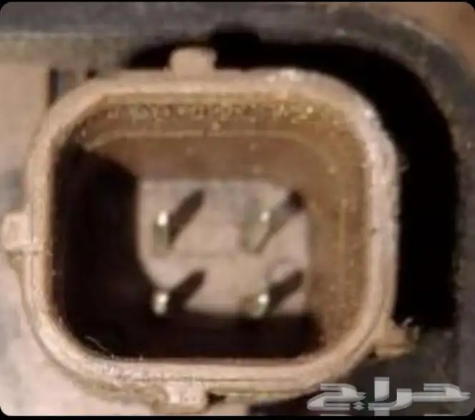 دينمو هوندا اكورد اودسي بايلوت 2010 اصلي 4