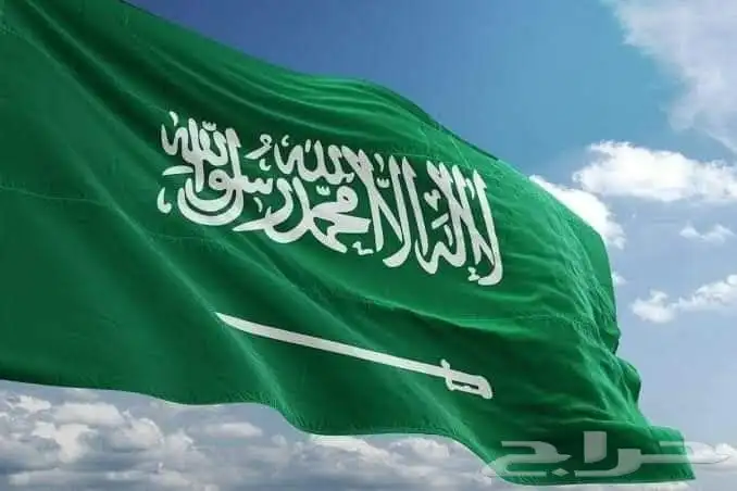 معلم القرآن الكريم والتجويد أون لاين لجميع الأعمار 3