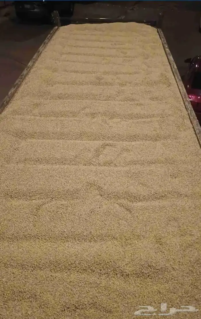 دفان صبيز كساره 17