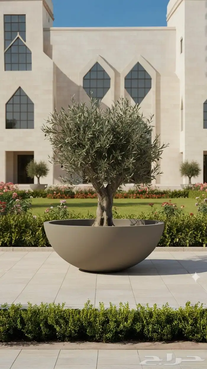 مراكن وأحواض زراعيه 24